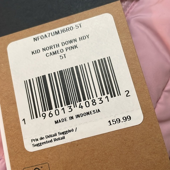 North Face Down Hoodie Cameo Pink 💕 - Picture 4 of 5